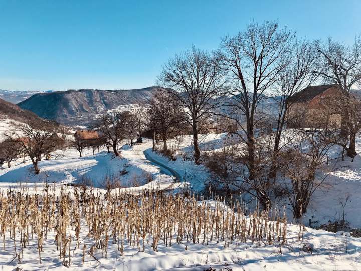 Климатическое разнообразие