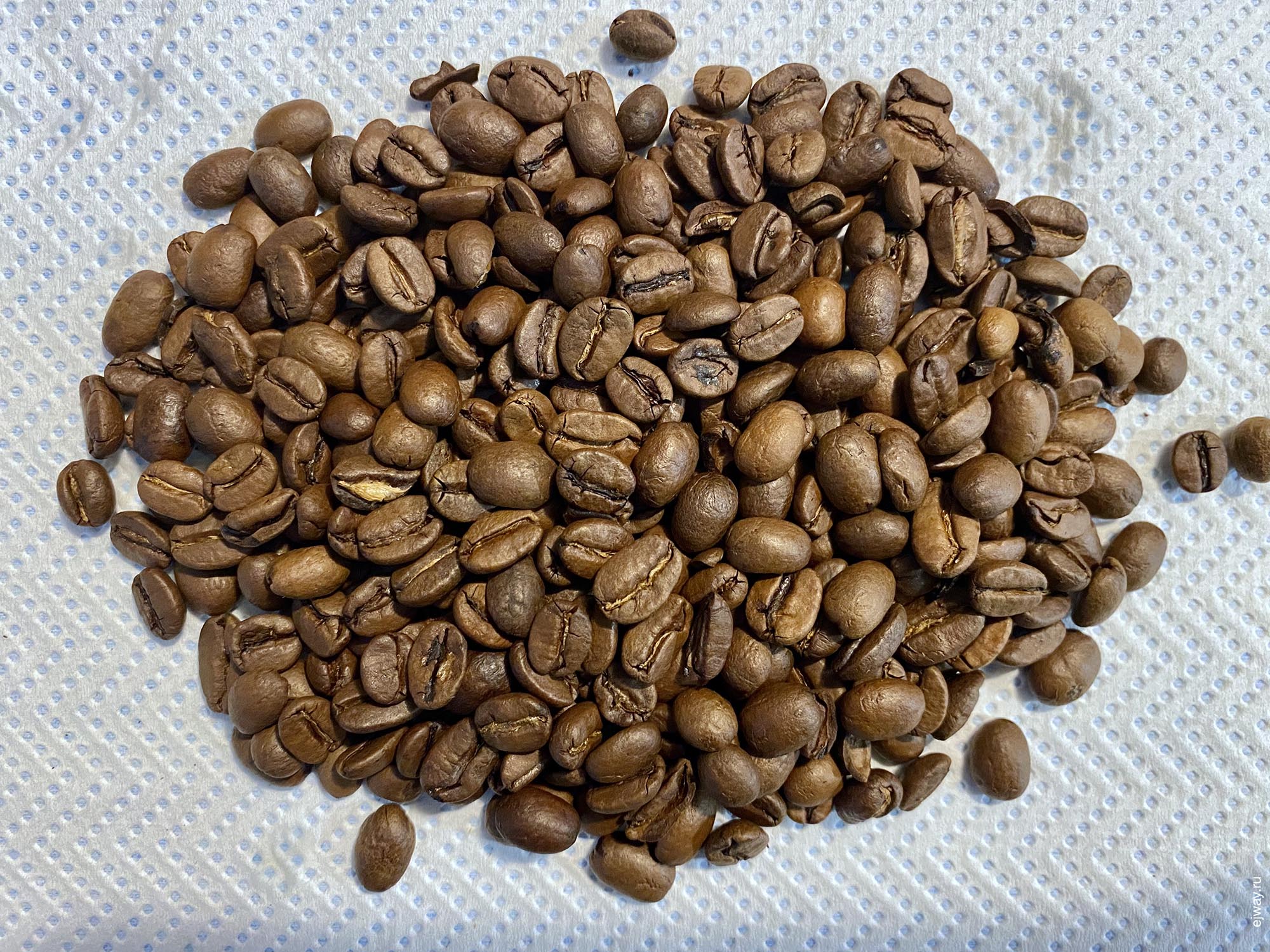 Португалия, Повуа-ди-Варзин, Lavazza Oro, зерна