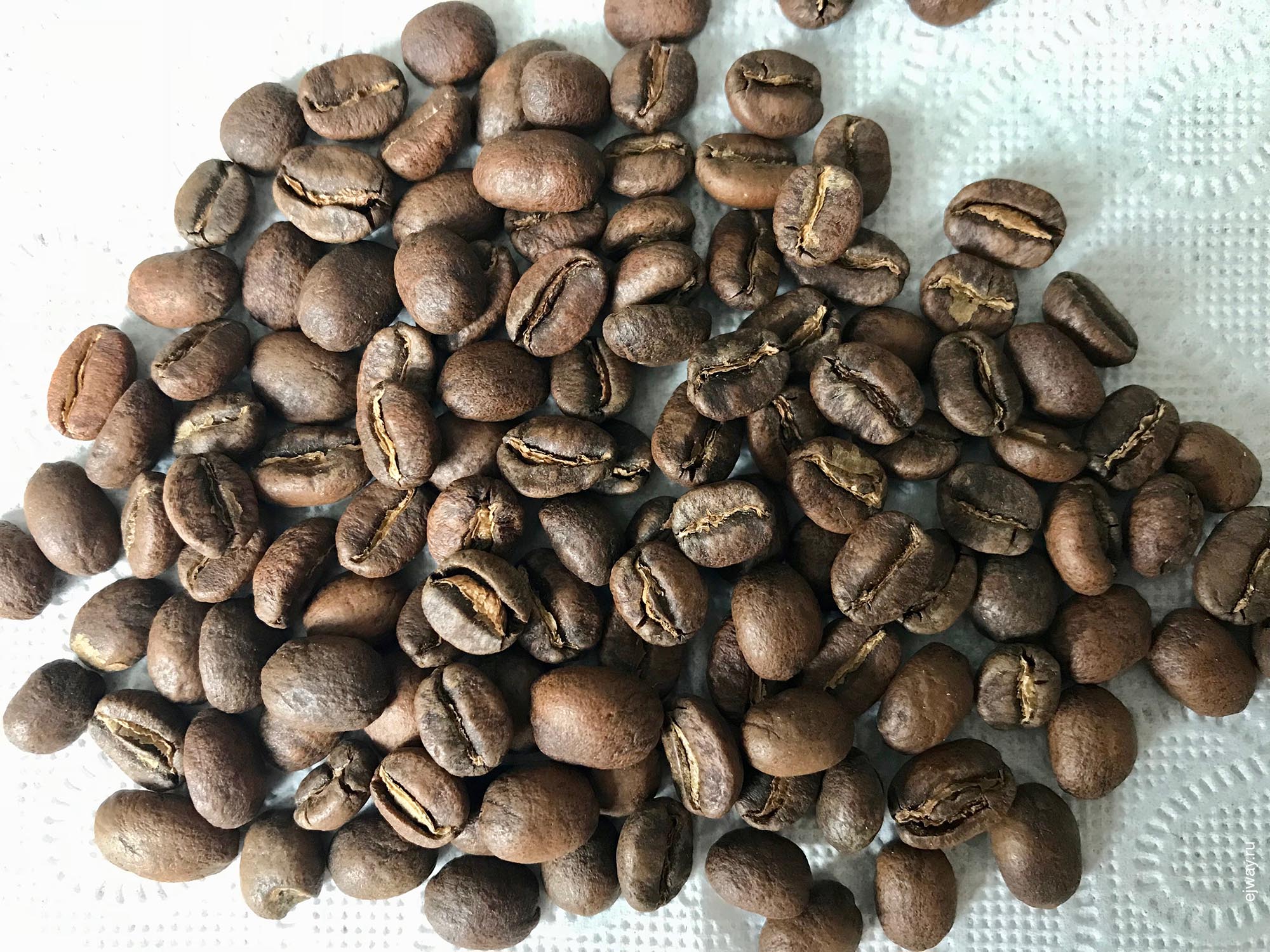 Грузия, Тбилиси, Coffee lab. Biftu Gudina, ejway.ru, зерна