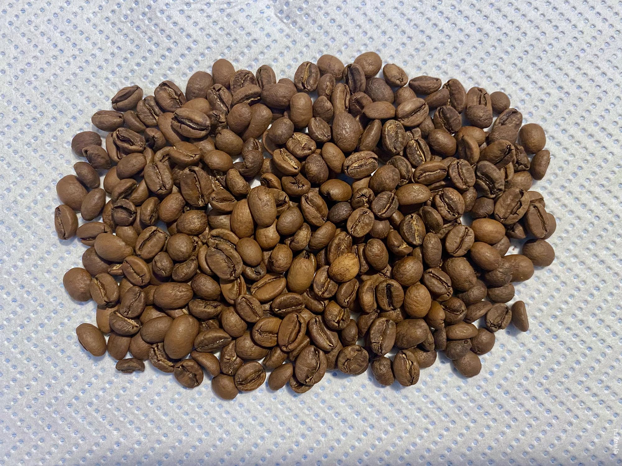 Португалия, Вила-ду-Конди, Wote Konga. Etiopia. 7g roaster, зерна