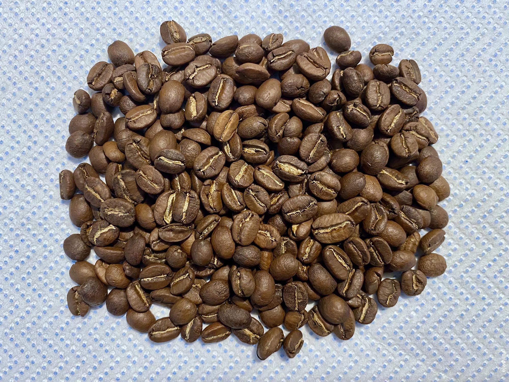 Португалия, Вила-ду-Конди, Primavera Family. Guatemala. 7g roaster, зерна