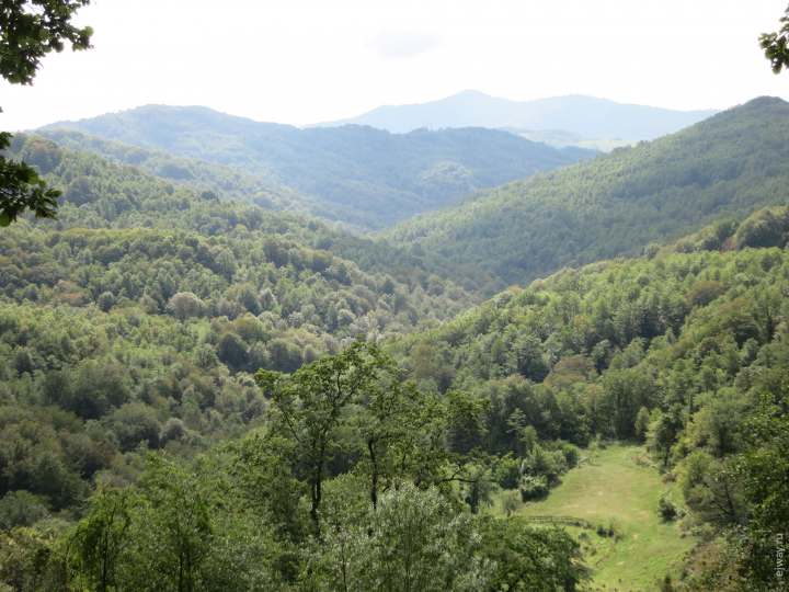 Воронцовские пещеры