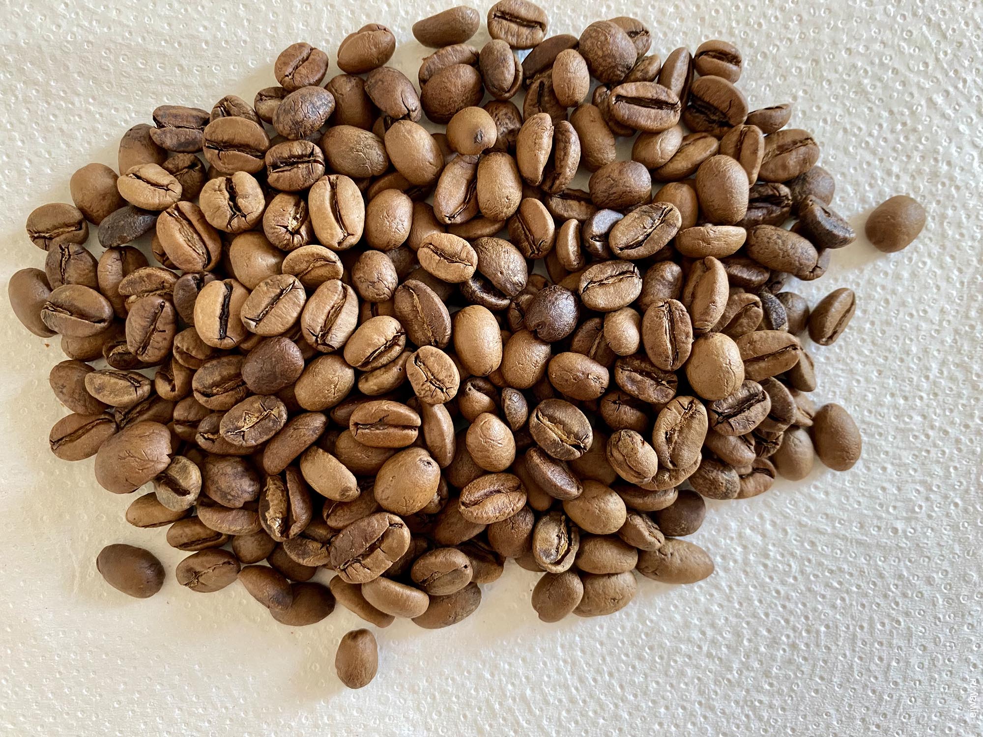 Португалия, Фуншал, Lemus Bella Vista. El Salvador. Thestudio coffee, зерна
