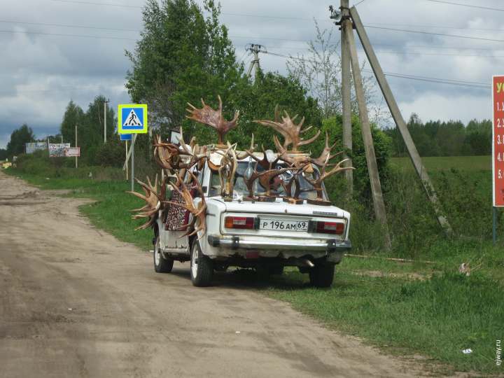2017 июнь 3