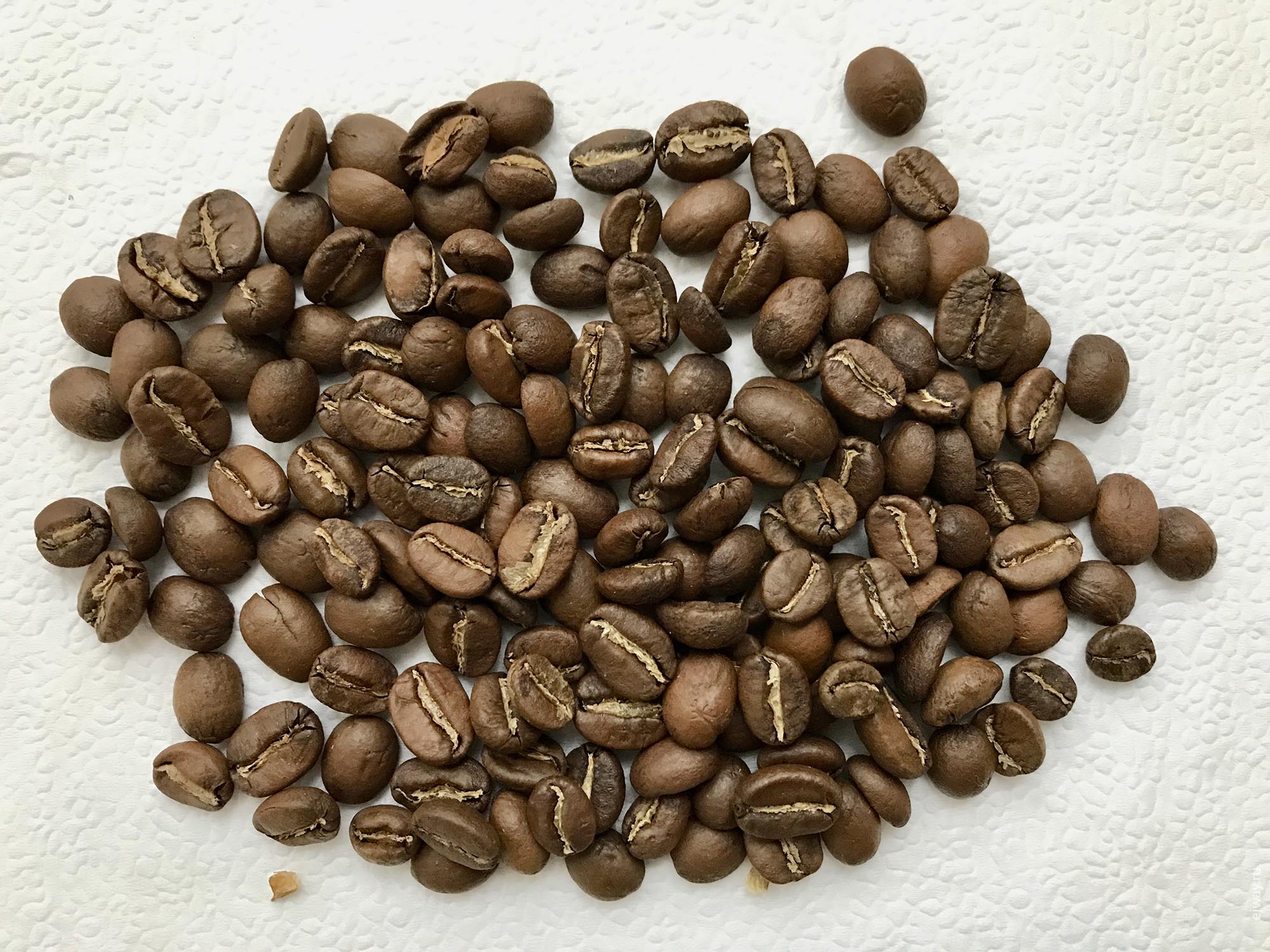 Россия, Москва, Surf Coffee. Bali, ejway.ru, зерна