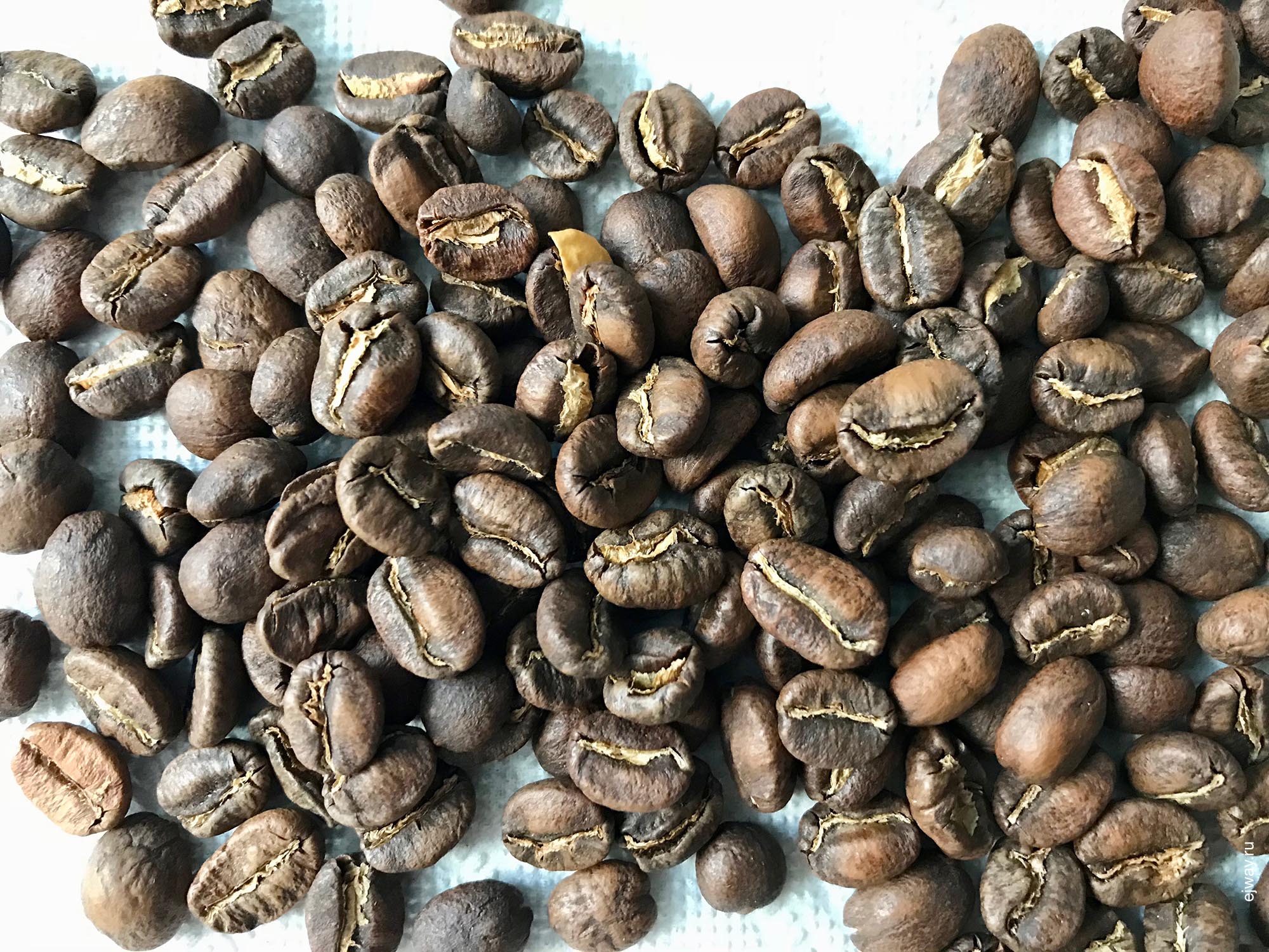 Грузия, Тбилиси, Coffee lab. Ngugi-lni AB, ejway.ru, зерна