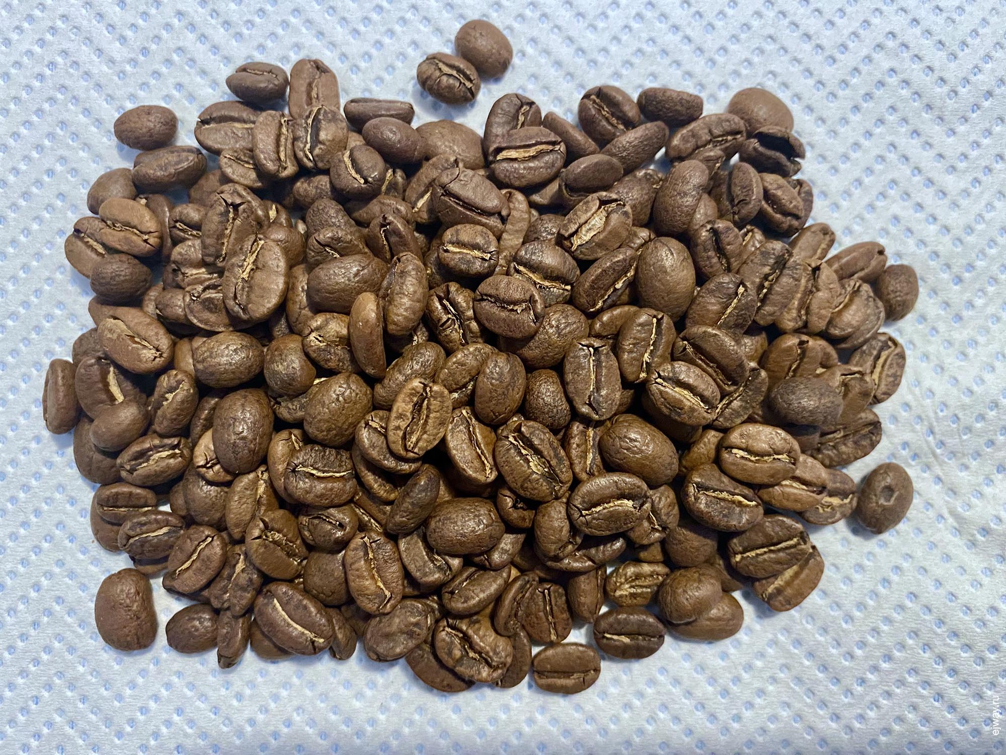 Португалия, Вила-ду-Конди, Juan Felipe Restrepo. Colombia Salaminas. 7g roaster, зерна