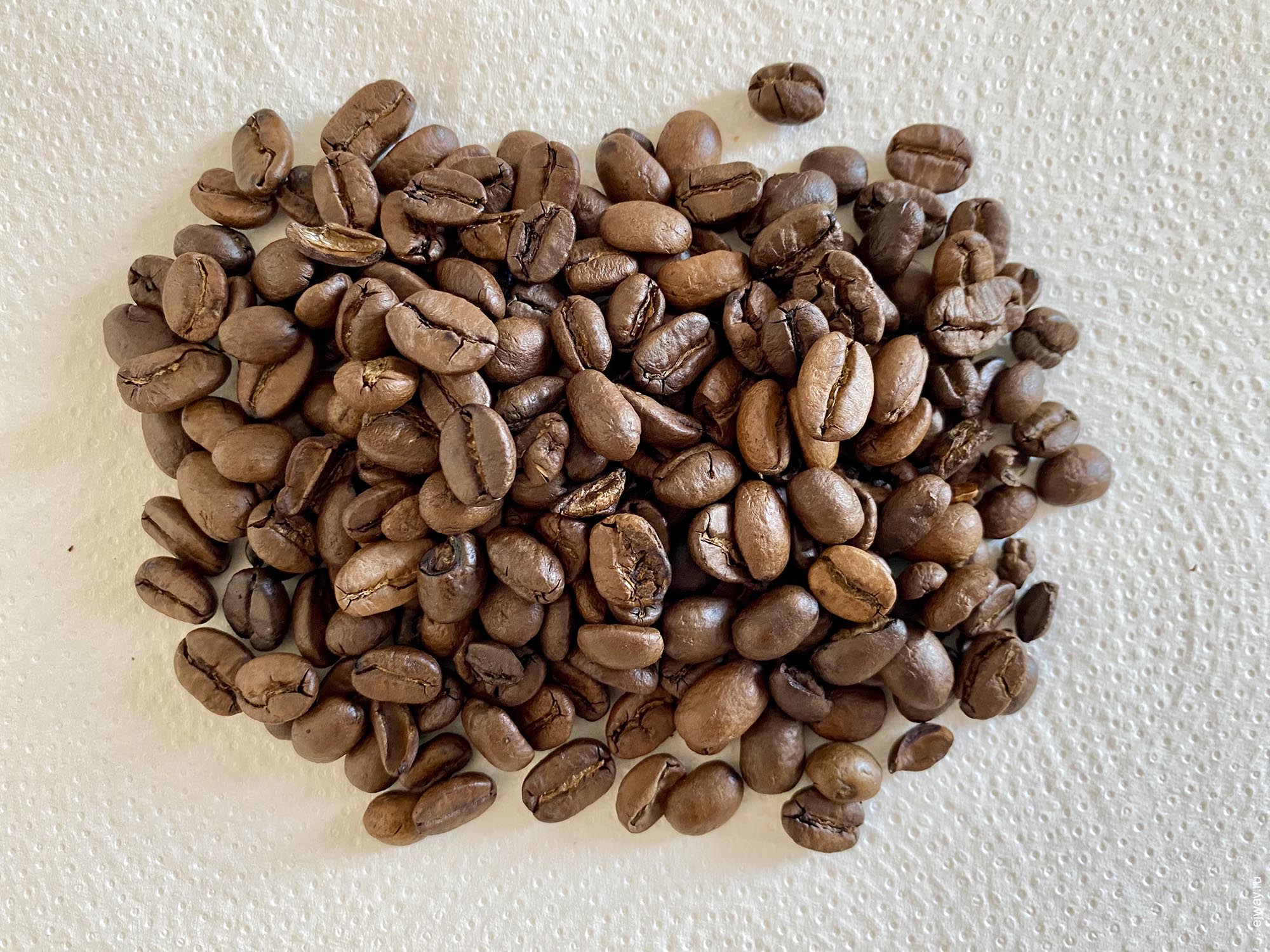 Португалия, Повуа-ди-Варзин, Goroka Kopi. Humble anchor, зерна