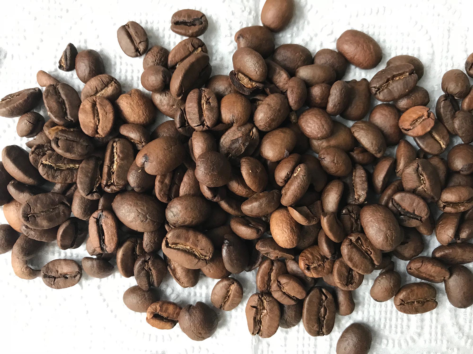 Грузия, Тбилиси, Lavazza, Caffe Espresso, ejway.ru, зерна