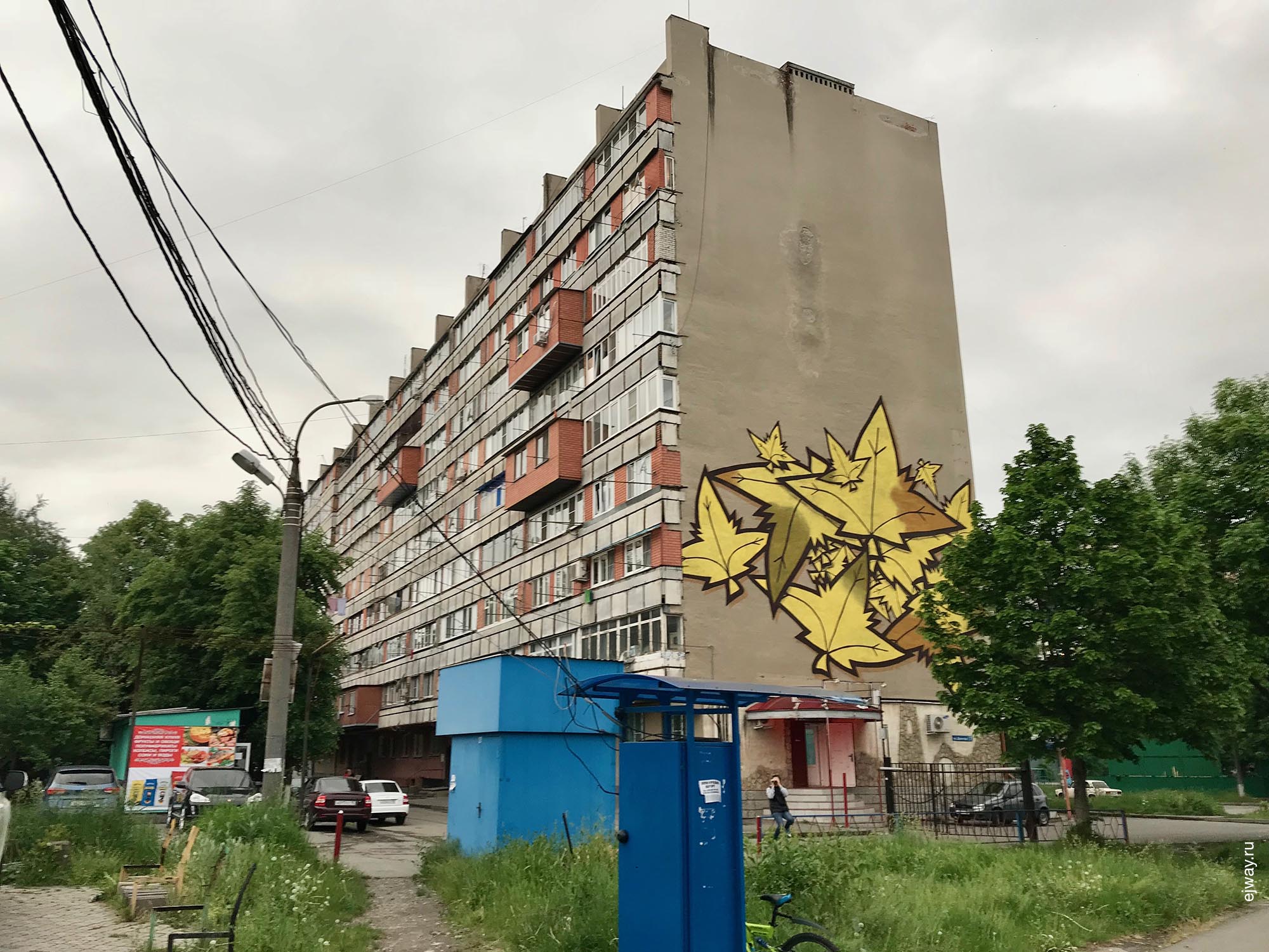 Россия, Владикавказ, August бомбит, ejway.ru, роспись, граффити, кленовый лист, August, фасад, жилой дом